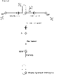 AIP ENR 1.5_Auto16